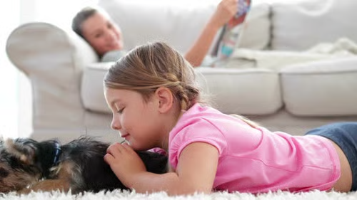 Safe @ Home Club Grades 2-3